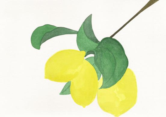 01_limao_renata_carneiro