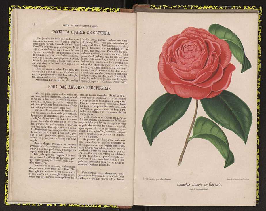 Jornal Horticultura Pratica