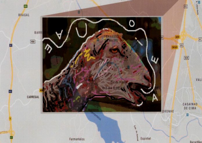 20_óis_da_ribeira_águeda_topografias_alexandre_morais