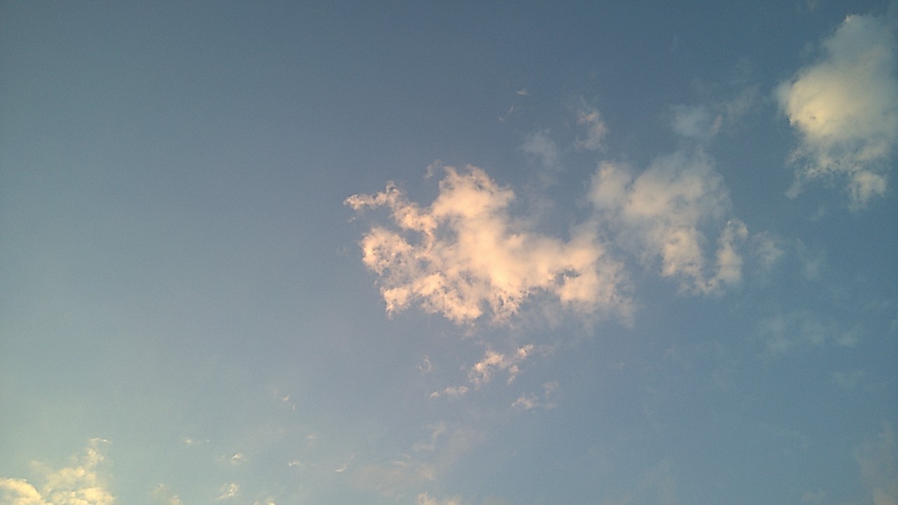 41_miguel_gomes_quiromancia