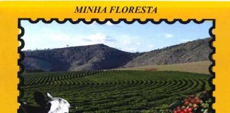 A minha floresta por Hugo Pontes