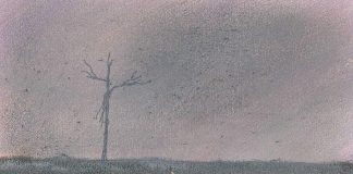 A minha floresta por Américo Sousa