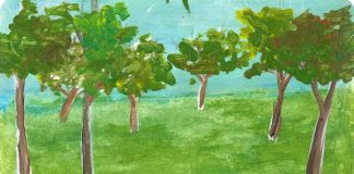 A minha floresta por Maria Suzete Rapaz