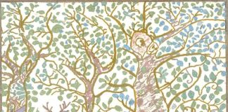My forest by Christiane Carré