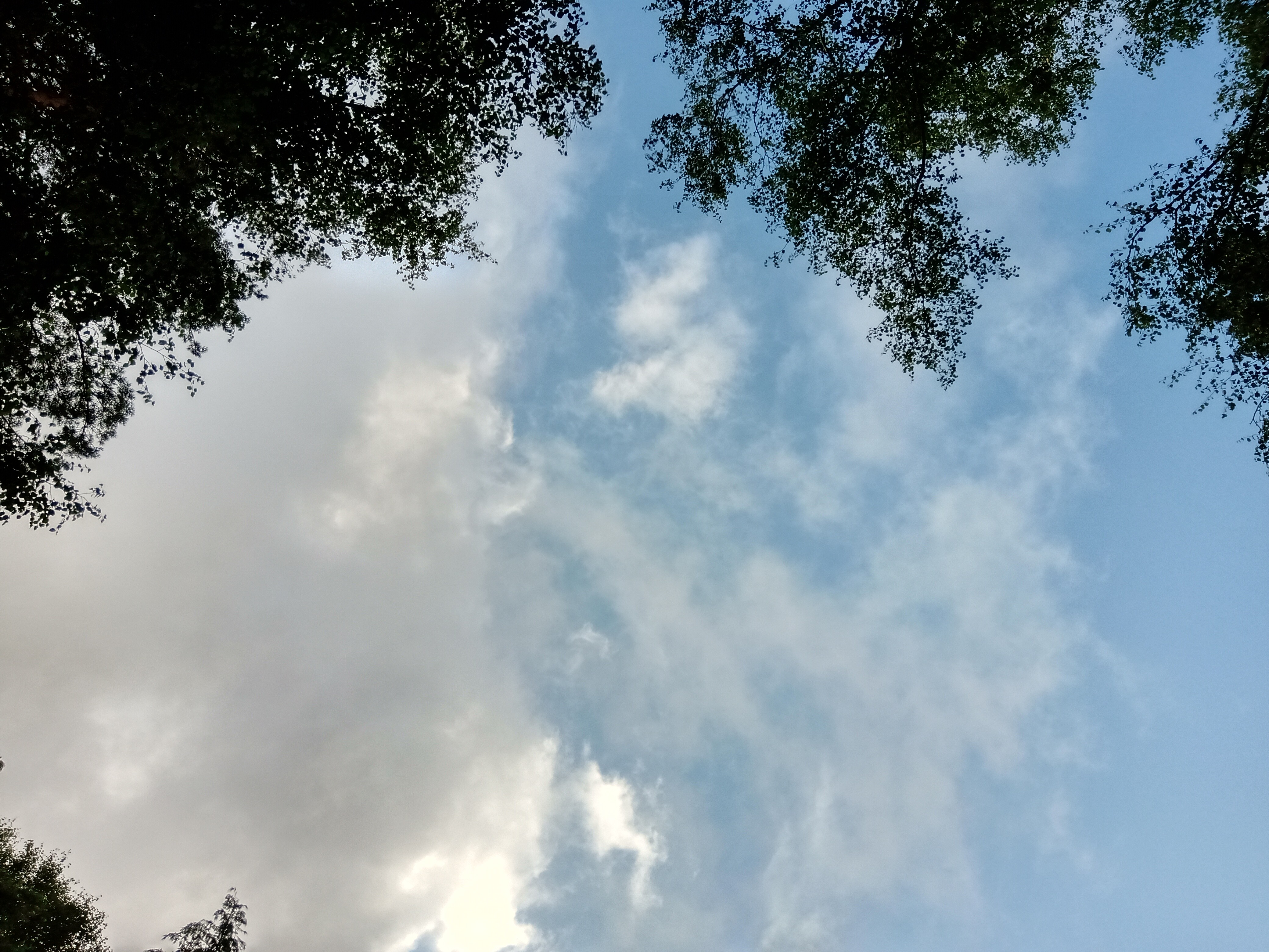 48_miguel_gomes_invisibilidade