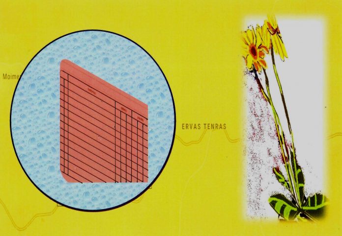 61_ervas_tenras_alexandre_morais_topografias