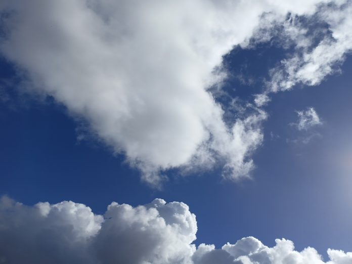 73_miguel_gomes_milagre