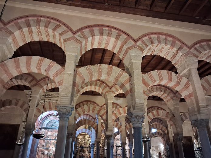 palmeiras mesquita córdoba