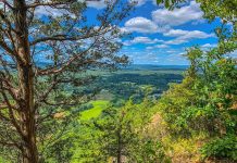 O poema que tomou o lugar de uma montanha por Wallace Stevens