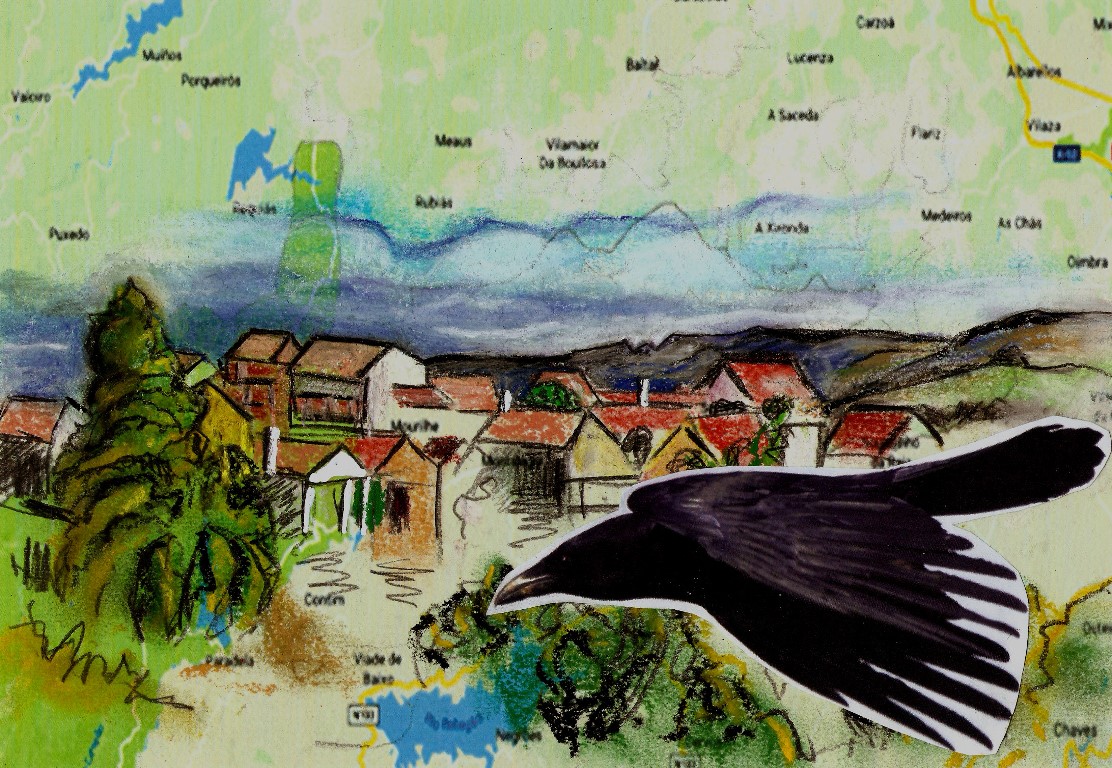 33_gralhas_montalegre_alexandre_morais_topografias