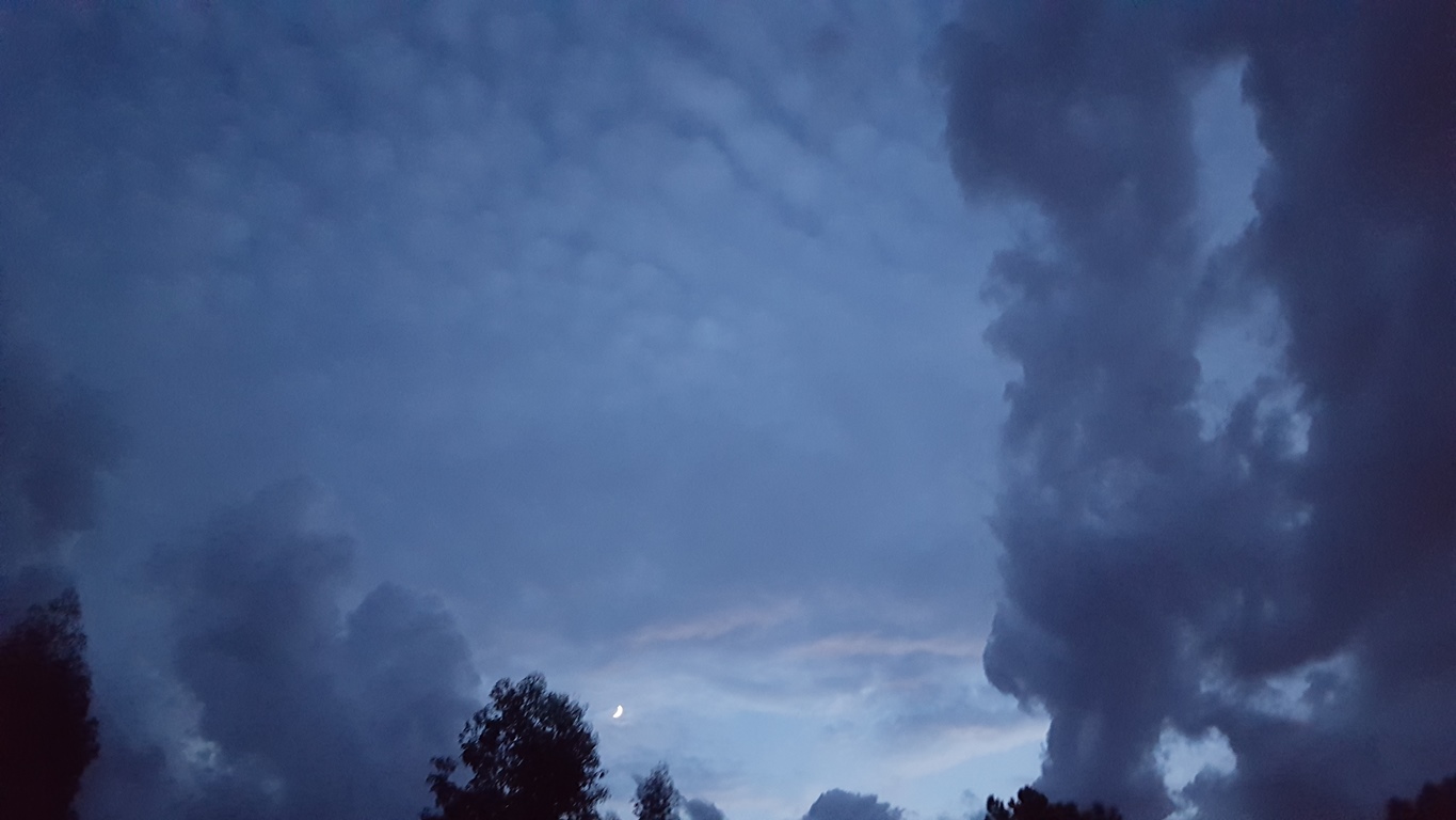 38_miguel_gomes_natal_