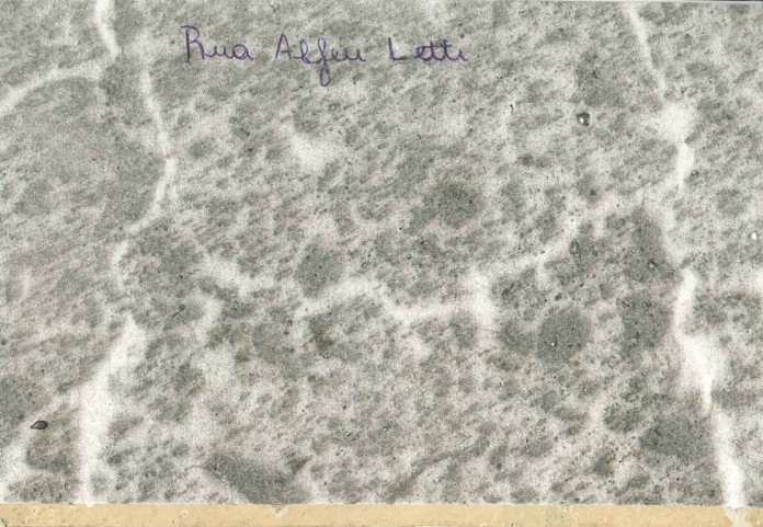 a_minha_rua_michelle_van_dyke_ii