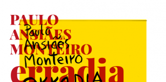 “Erradia – Desenho aberto”, de Paulo Ansiães Monteiro