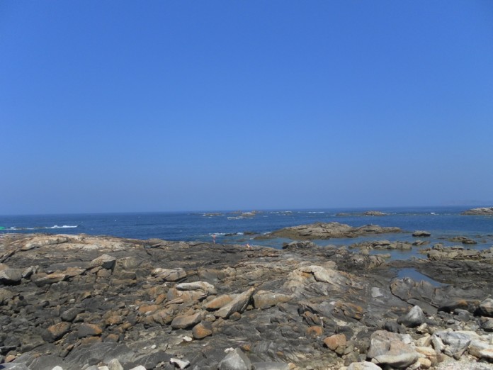 SAMSUNG DIGITAL CAMERA